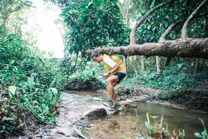 BIB: 
                            <button type="button" onclick="openModal(25376129)" class="btn btn-primary btn-sm float-right btn-popup" data-toggle="modal" data-target=".modal-high-quality">
                        <i class="fas fa-shopping-cart"></i> Add to Cart
                    </button>
                                            <button type="button" onclick="isThisMe(25376129, true)" class="btn btn-success btn-sm float-right btn-popup btn-isme hidden" data-toggle="tooltip" data-placement="bottom" title="นี่คือรูปของคุณใช่ไหม คลิกที่นี่เพื่อเอาเข้าอัลบั้ม">
                        <i class="fas fa-plus"></i> Add to album
                    </button>
                    <button type="button" onclick="isThisMe(25376129, false)" class="btn btn-warning btn-sm float-right btn-popup btn-isnotme hidden">
                        <i class="fas fa-ban"></i> Remove from album
                    </button>